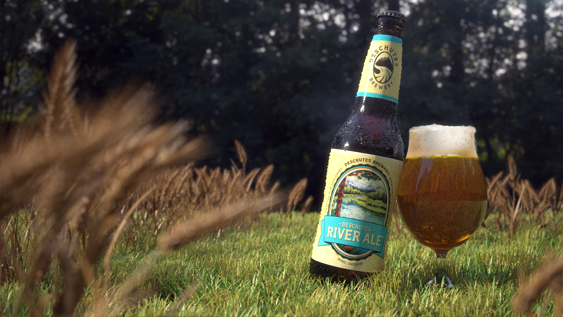 Beer Packshot