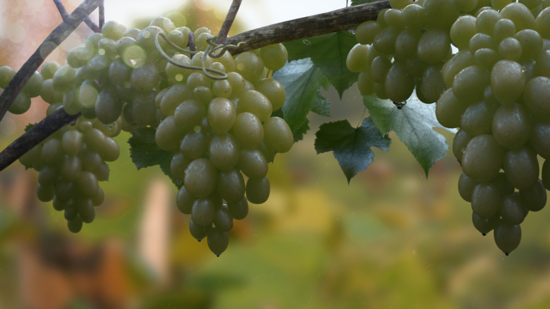 CGI Grapes