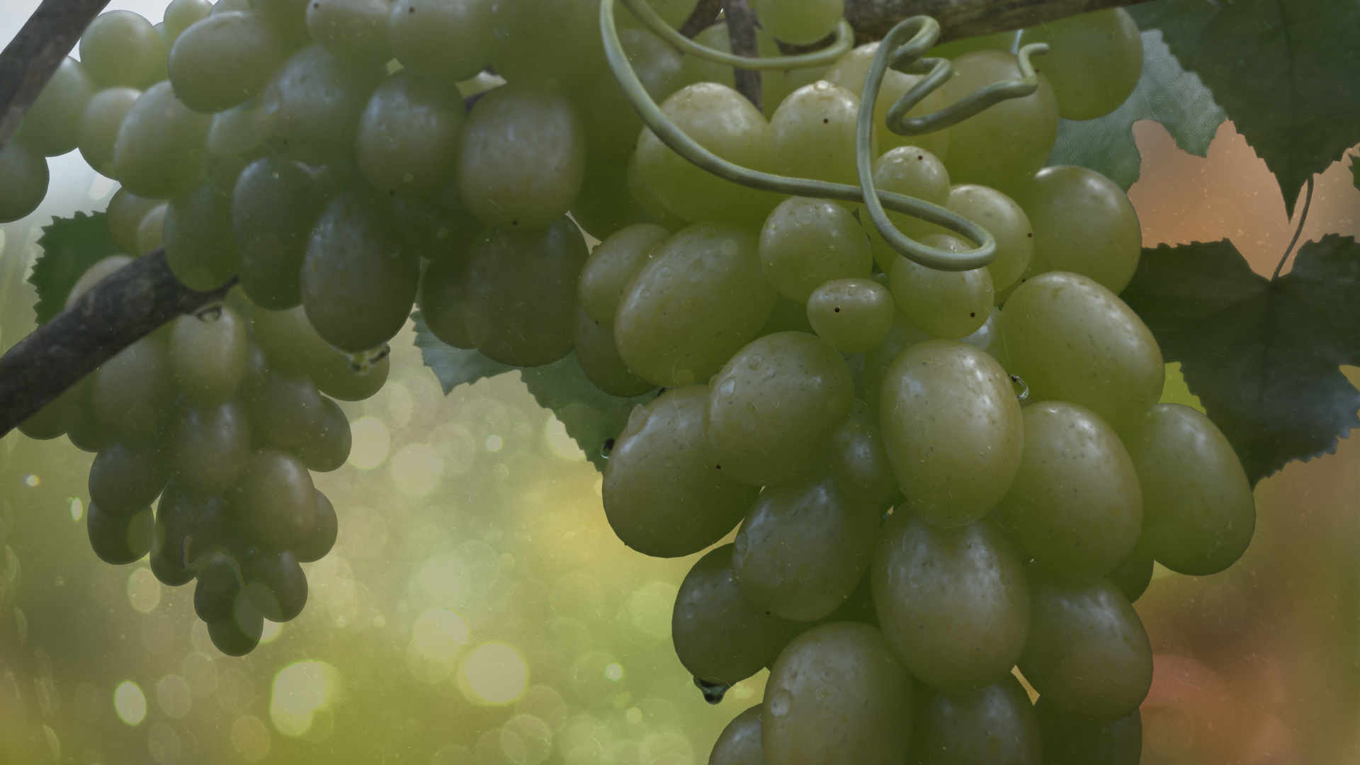 CGI Grapes