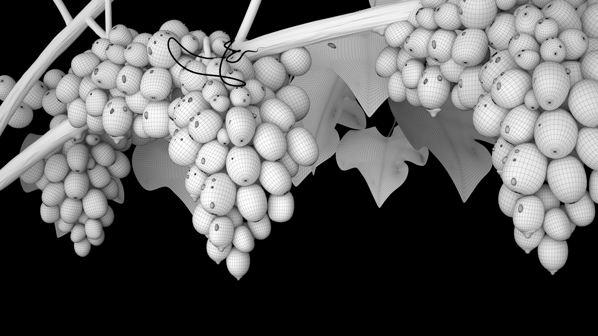 CGI Grapes