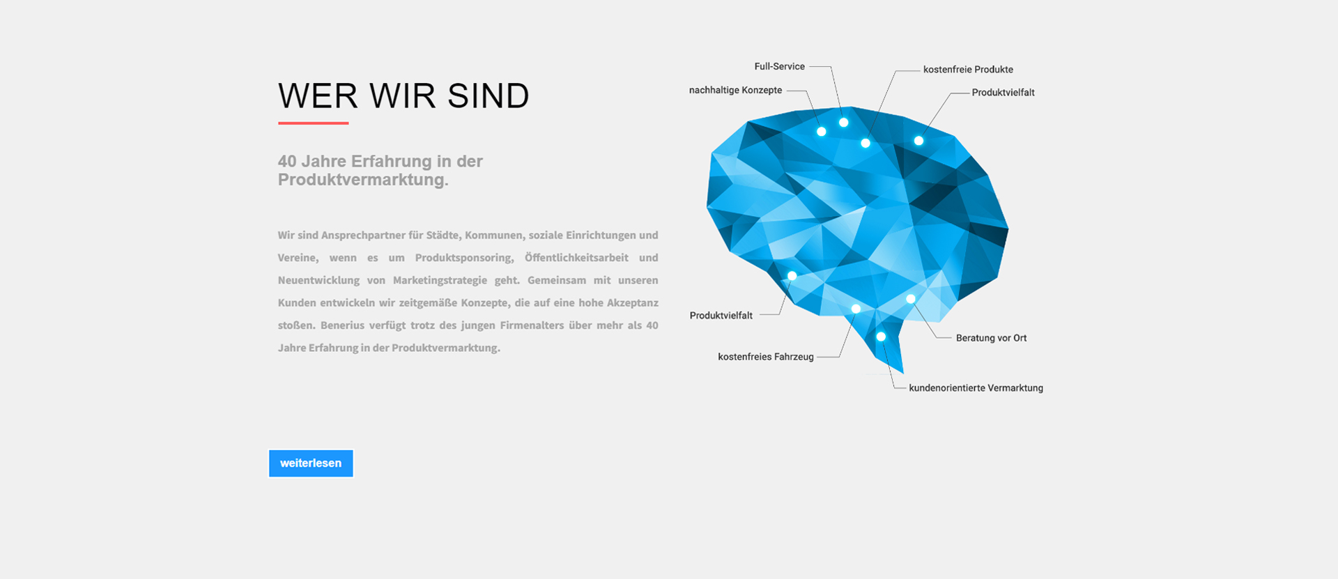 Benerius Website